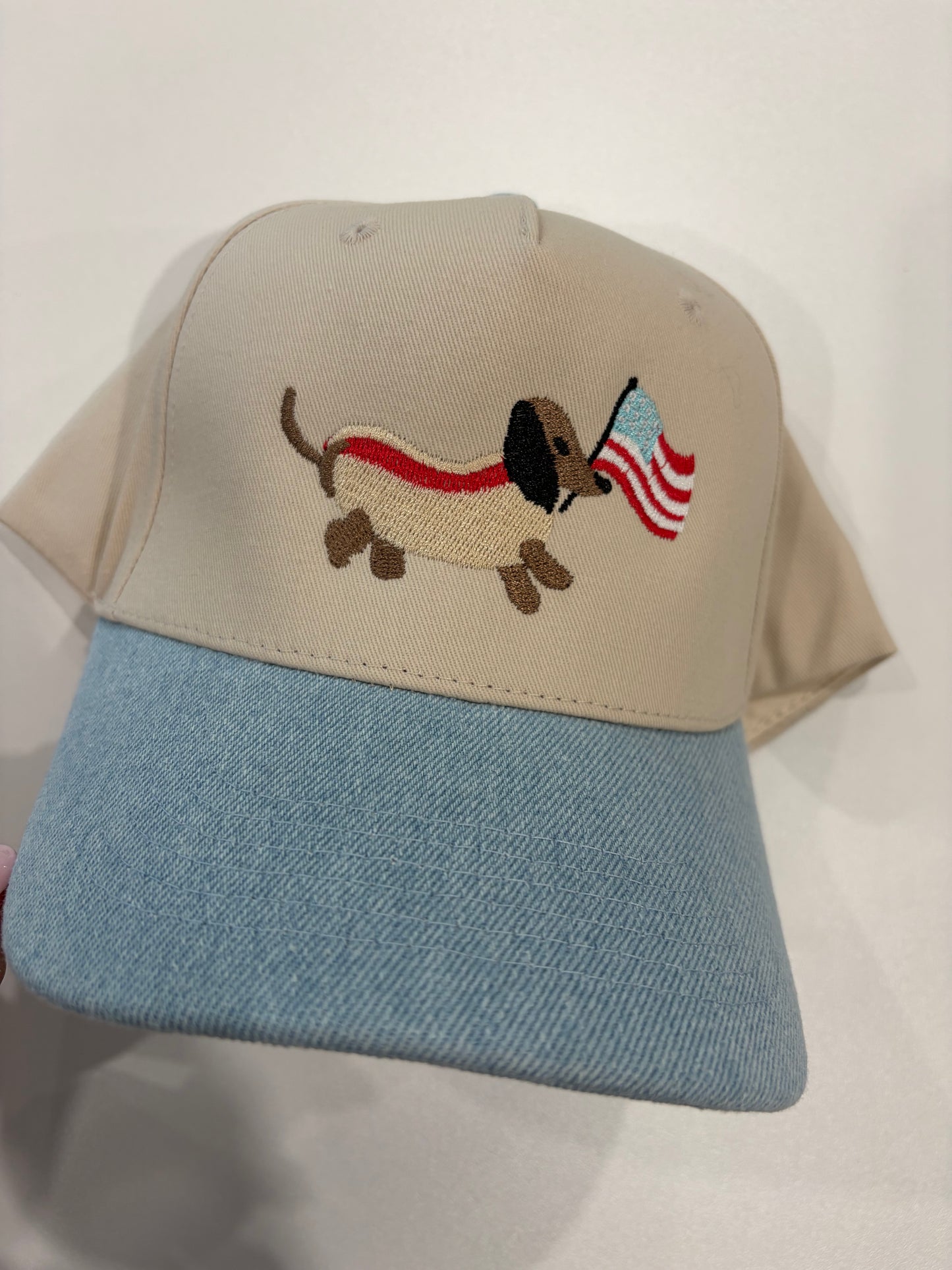 Flag hotdog embroidered hat