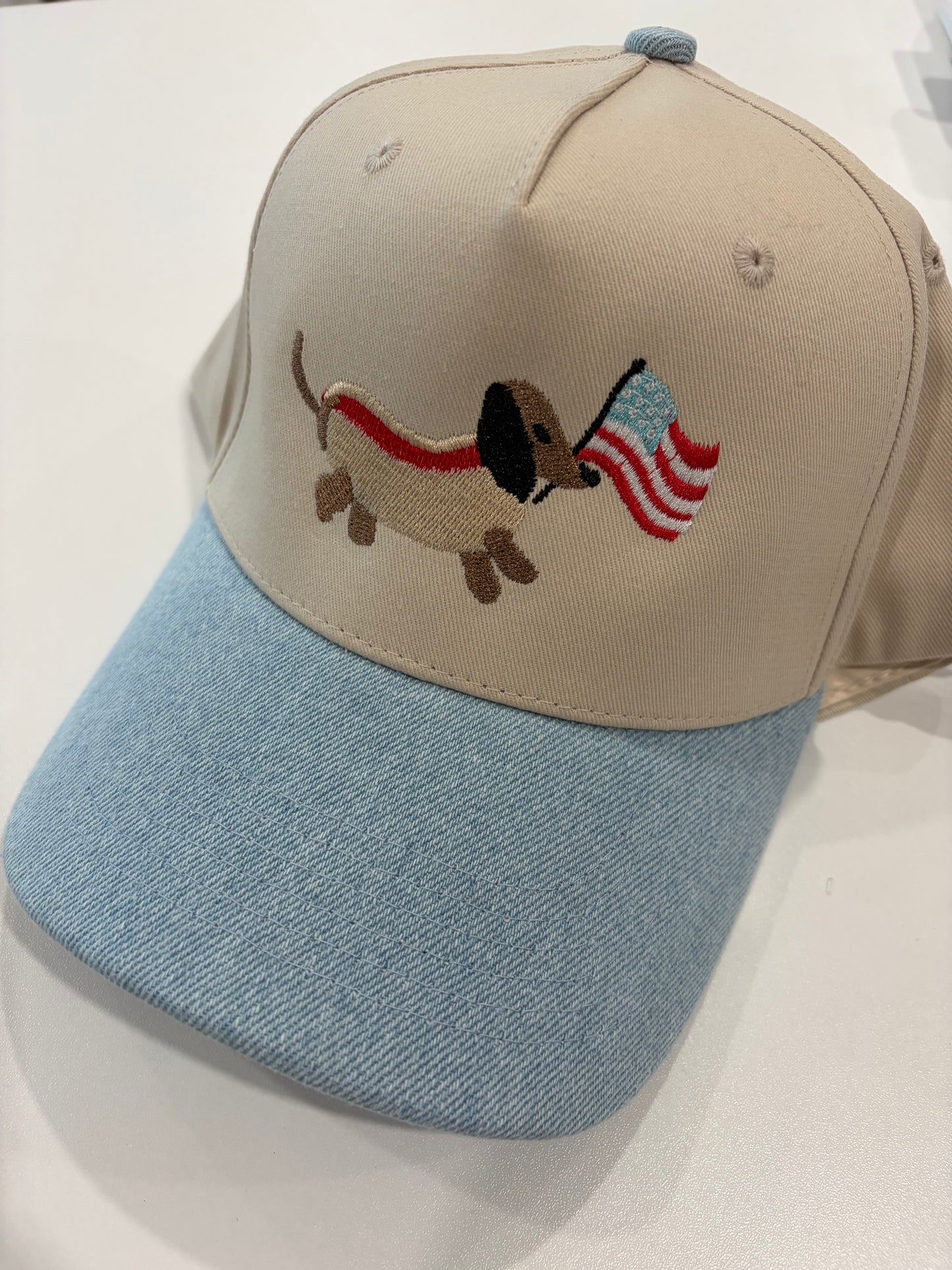 Flag hotdog embroidered hat
